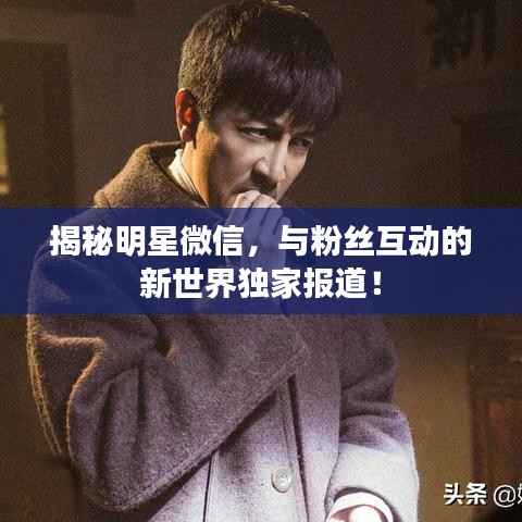 揭秘明星微信,与粉丝互动的新世界独家报道!