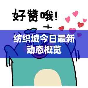 纺织城今日最新动态概览