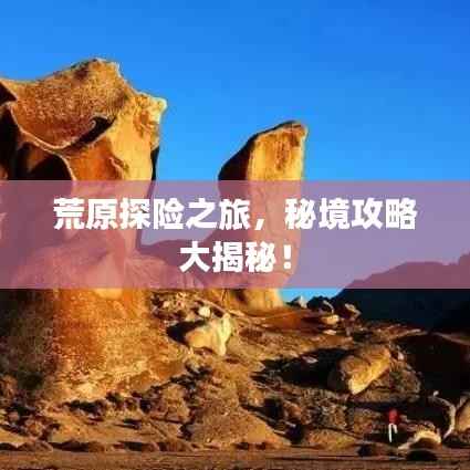 贵而贱目 第2页