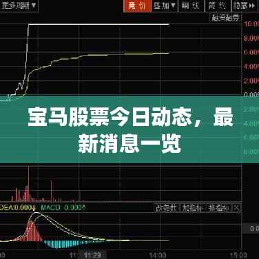 宝马股票今日动态,最新消息一览