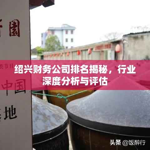 绍兴财务公司排名揭秘,行业深度分析与评估