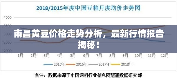 南昌黄豆价格走势分析,最新行情报告揭秘!