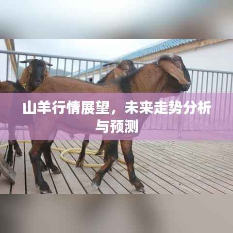 山羊行情展望,未来走势分析与预测