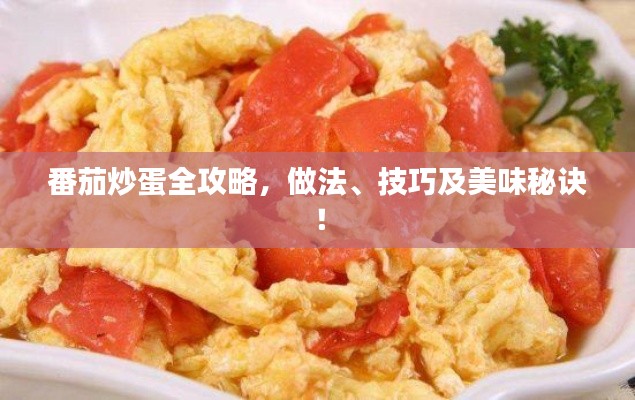 番茄炒蛋全攻略,做法、技巧及美味秘诀!