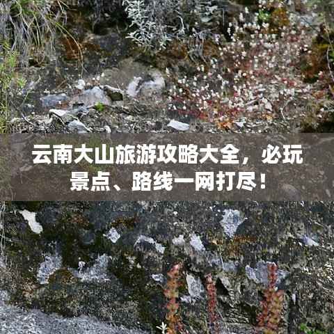 云南大山旅游攻略大全,必玩景点、路线一网打尽!
