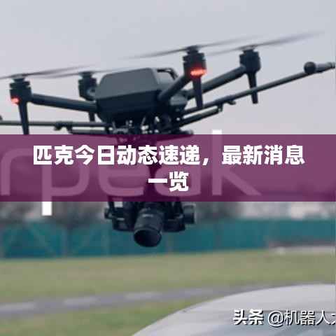 匹克今日动态速递,最新消息一览