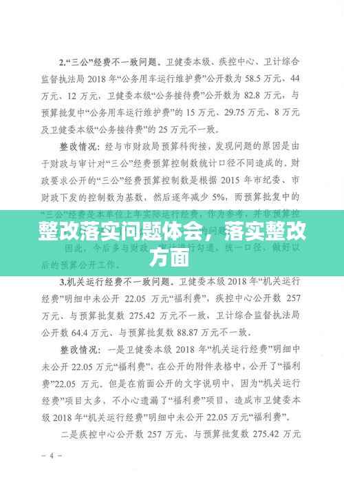 整改落实问题体会,落实整改方面