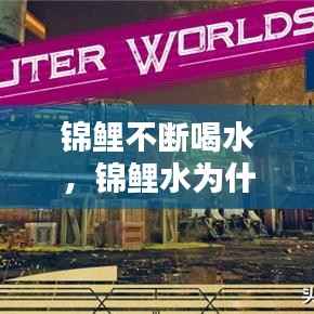 锦鲤不断喝水,锦鲤水为什么一天就混了