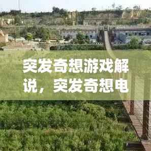 突发奇想游戏解说,突发奇想电影