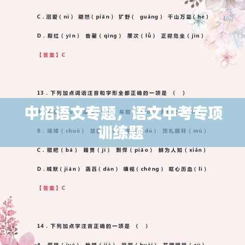 中招语文专题,语文中考专项训练题