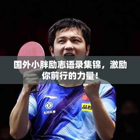 娇小玲珑 第2页