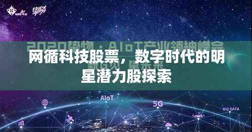 网循科技股票，数字时代的明星潜力股探索