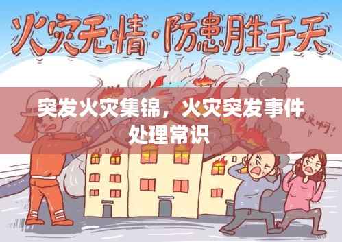 突发火灾集锦,火灾突发事件处理常识