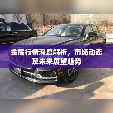 金属行情深度解析,市场动态及未来展望趋势