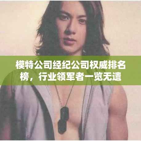 模特公司经纪公司权威排名榜,行业领军者一览无遗