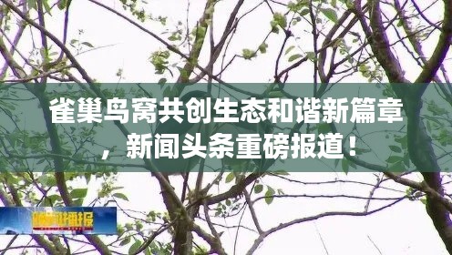 鬼张鬼智 第2页