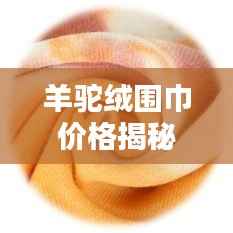 羊驼绒围巾价格揭秘,优质价值的选择