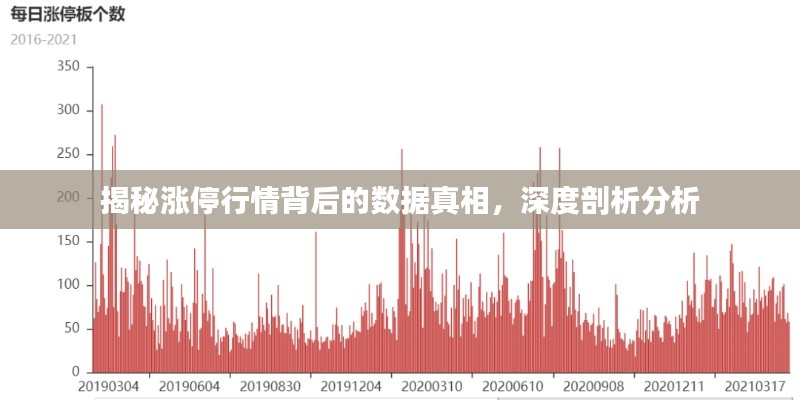 揭秘涨停行情背后的数据真相,深度剖析分析