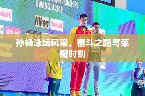 孙杨泳坛风采,奋斗之路与荣耀时刻