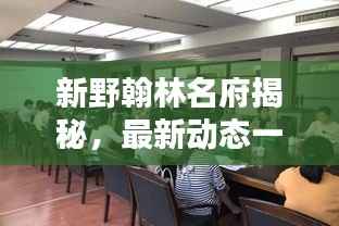 新野翰林名府揭秘,最新动态一网打尽