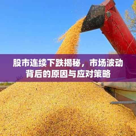 股市连续下跌揭秘,市场波动背后的原因与应对策略