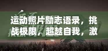 运动照片励志语录,挑战极限,超越自我,激发无限潜能!