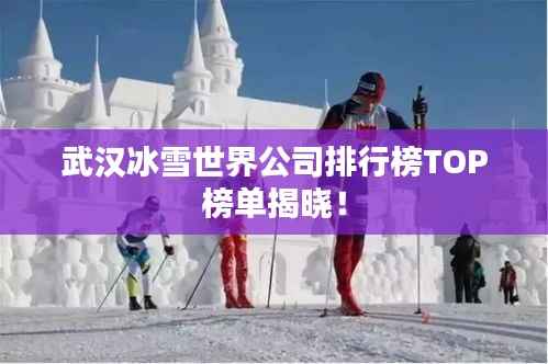 武汉冰雪世界公司排行榜TOP榜单揭晓!