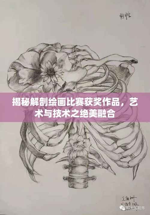 揭秘解剖绘画比赛获奖作品,艺术与技术之绝美融合