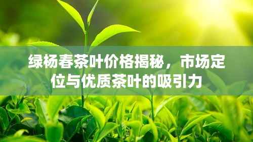 绿杨春茶叶价格揭秘,市场定位与优质茶叶的吸引力