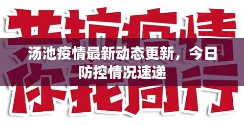 汤池疫情最新动态更新,今日防控情况速递