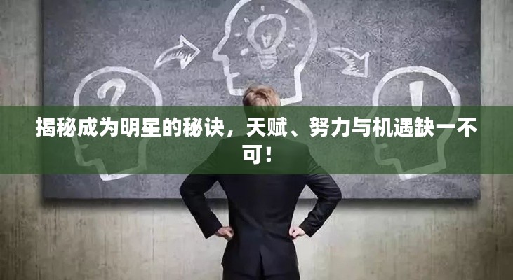 揭秘成为明星的秘诀,天赋、努力与机遇缺一不可!